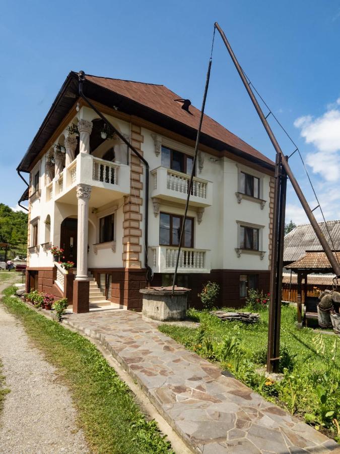 Hotel Pensiunea Denisa à Bîrsana Extérieur photo